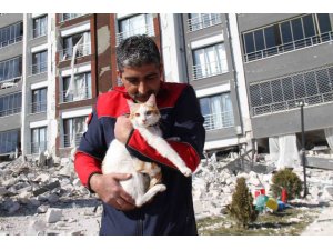 Malatya’da Ağır Hasarlı Binada Mahsur Kalan Kedi Kurtarıldı