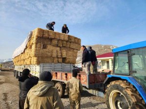 Konyaaltı’ndan Deprem Bölgesine Yem Ve Saman Desteği