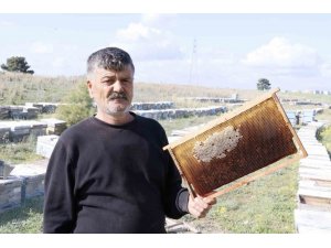 Hırsızlar 700 Adet Bal Peteğini Çaldı, Arıları Telef Etti