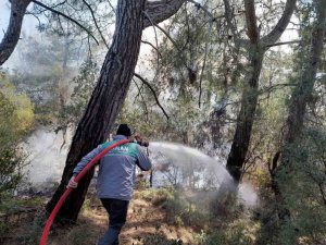 Antalya’daki Orman Yangını 2 Saatte Kontrol Altına Alındı