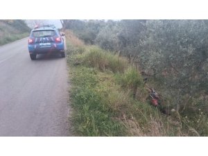 Koyun Ve Keçi Sürüleri Villaların Bahçelerini Talan Ediyor