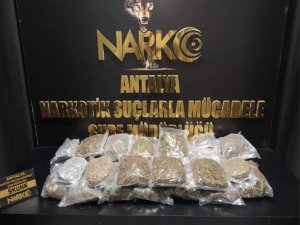 Antalya’da Nisan Ayında 16 Kilogram Esrar, 19 Kilogram Skunk Ele Geçirildi