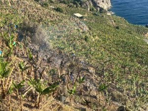 Antalya’da Ormanlık Alanda Ve Muz Bahçesinde Çıkan Yangında 8 Dönüm Alan Zarar Gördü