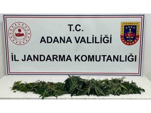 Adana’da Jandarmadan “Huzur Ve Güven” Uygulaması