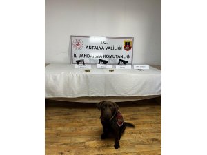 Jandarma Narkotik Köpeklerinden Uyuşturucuya Geçit Yok