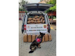 Adana’da Kaçak 255 Kilogram Tütün Ele Geçirildi