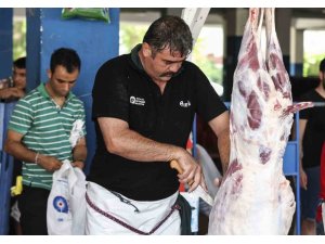 Büyükşehir 3 Farklı Noktada Ücretsiz Kurban Kesim Hizmeti Verdi