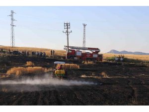 Elektrik Direğinden Sıçrayan Kıvılcımlar 8 Dönüm Araziyi Kül Etti