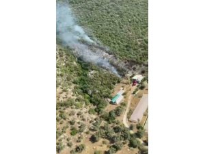 Kaş’ta Orman Yangını Başladı