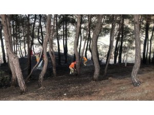 Yangın Söndürüldü, Vatandaş Piknikçilere Tepki Gösterdi