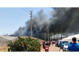 Antalya’da Çiçek İşleme Tesisinde Yangın