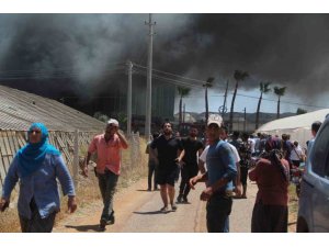 Antalya’da Kesme Çiçek İşleme Tesisi Alev Alev Yandı