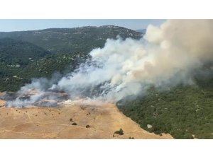 Antalya Kaş’ta Orman Yangını Başladı