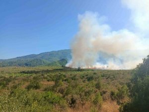 Burdur’da Orman Yangını Havadan Ve Karadan Müdahale İle Kontrol Altına Alındı.