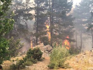 Antalya’da Orman Yangını Devam Ediyor