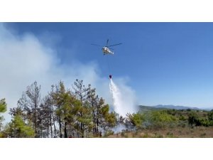 Alanya’daki Orman Yangını Karadan Ve Havadan Müdahaleyle Büyümeden Söndürüldü