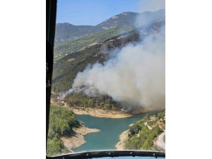 Alanya’da Orman Yangını Başladı