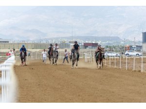 14. Geleneksel Rahvan At Yarışları Nefes Kesti, Attan Düşen Genç Kadın Yaralandı