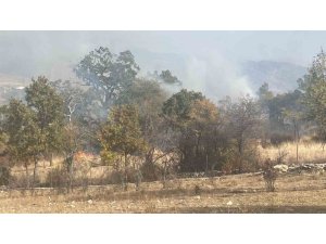 Isparta’da 10 Dekar Alan Küle Döndü