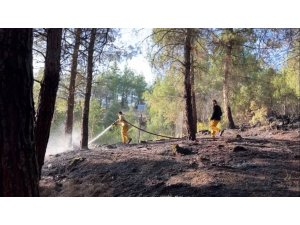 Burdur’da Orman Yangını Ekiplerin Hızlı Müdahalesi İle Söndürüldü