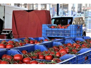 Antalya’da Domates Miktarı Azaldı, Sebze Miktarı Arttı