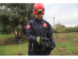 İ̇tfaiye Erinden Su Borusundaki Köpeğe Kahramanca Kurtarış