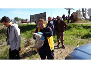 Tutuşan izolasyon malzemeleri çatıyı küle çevirdi, bina sakinleri gözyaşlarına hakim olamadı