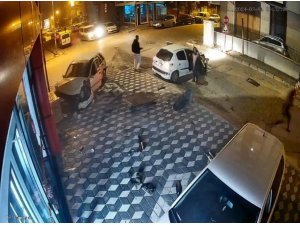 Otomobilin hurdaya döndüğü kazada sürücü kaçtı, polis kovaladı