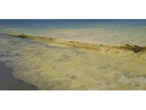 Antalya’da deniz kıyısında sarı köpük içinde ölü denizanaları görüldü