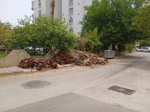 Ağaç dalları çöp konteyneri yerine, yol kenarlarına bırakılıyor