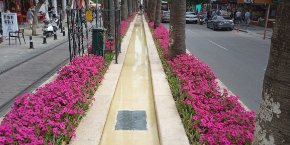 Büyükşehir, Atatürk Caddesi’ni petunyalarla bezedi