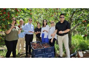 Kaymakam Altun, kırsaldaki çalışmaları inceledi