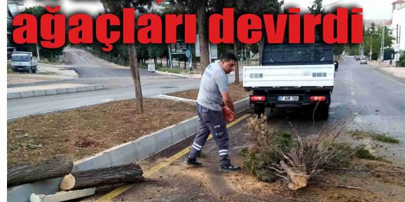 Korkuteli’de fırtına ağaçları devirdi