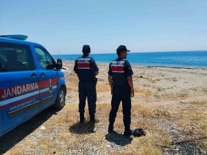 Alanya’da yeşil deniz kaplumbağası ve caretta carettaların yuvalanma bölgeleri kontrol edildi