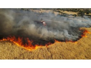 Bucak’ta aynı günde çıkan 6 farklı yangında 400 dekar alan yandı