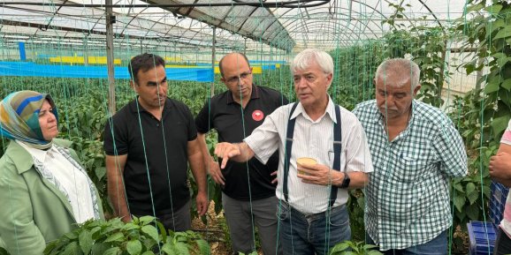 Elmalı’da Faydalı Böcek Salım Etkinliği