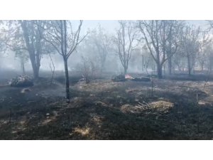 Isparta’da meyve bahçesinde çıkan yangında ağaçlar ve samanlar kül oldu