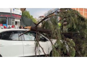 Burdur’da fırtınada kırılan ağaç aracın üzerine devrildi