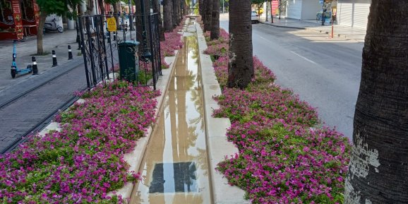 Antalya’da Atatürk Caddesi, petunyalarla büyüleyici bir görsel şölene dönüştü