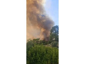 Antalya’da orman yangınına havadan ve karadan müdahale