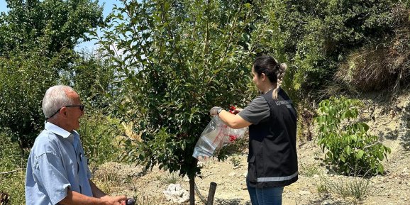 Hortumun ardından hasar tespit çalışması başlatıldı