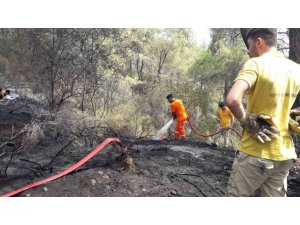 Antalya Kemer’de çıkan orman yangını kontrol altına alındı