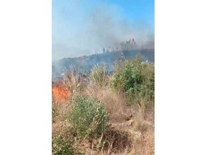 Gazipaşa’da bahçede çıkan yangın ekiplerinin müdahalesiyle söndürüldü