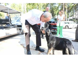 Başkan Kocagöz’den ’Köpek yakıldı’ iddialarına cevap