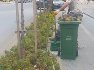 Hasan Subaşı Caddesi’nin mevsim çiçekleri yenileniyor