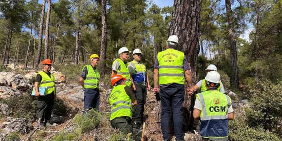 Antalya OBM'de FSC denetimi başladı