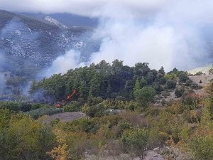 Kumluca’da orman yangınında alevlerin sıçradığı ev kullanılamaz hale geldi