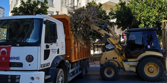 Kamyonlar dolusu ağaç budama ve tadilat atıkları toplanıyor