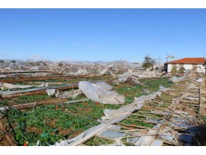 Hortumun verdiği zarar gün ağarınca ortaya çıktı