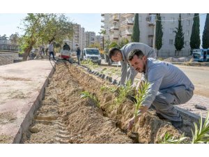 Güneş’e yemyeşil bir yaşam bahçesi geliyor